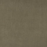 Charlotte - 10000-04 - Fabric by the Yard