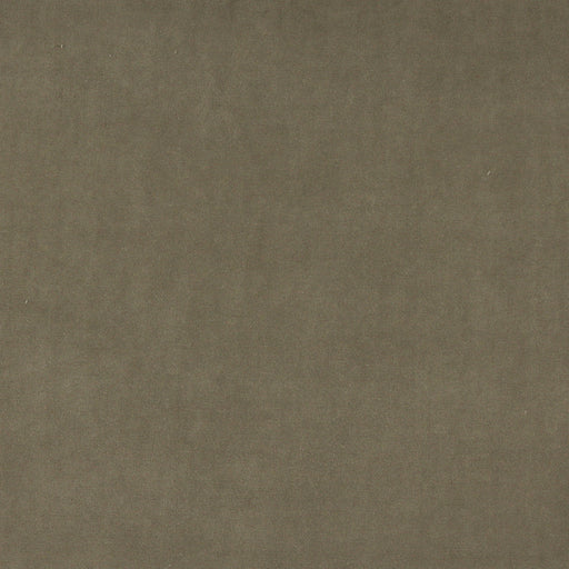 Charlotte - 10000-04 - Fabric by the Yard 10000-04