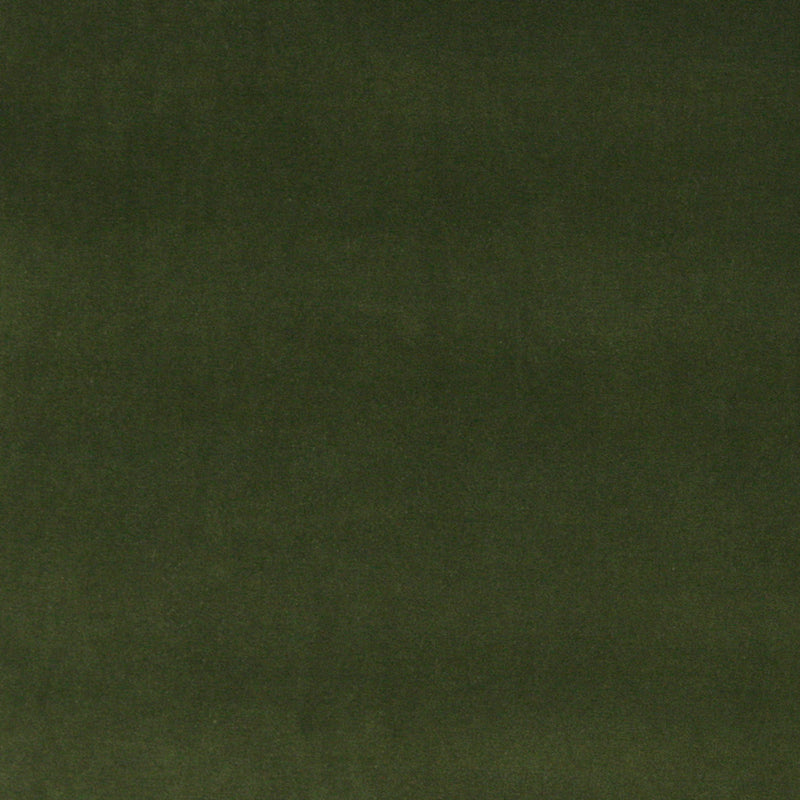 Charlotte - 10000-07 - Fabric by the Yard 10000-07