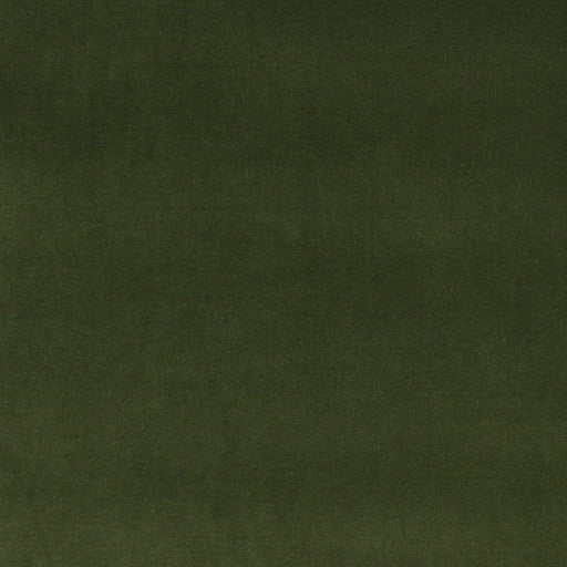 Charlotte - 10000-07 - Fabric by the Yard 10000-07