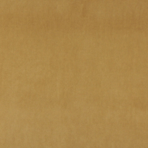 Charlotte - 10000-08 - Fabric by the Yard 10000-08