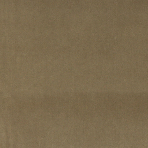 Charlotte - 10000-10 - Fabric by the Yard 10000-10
