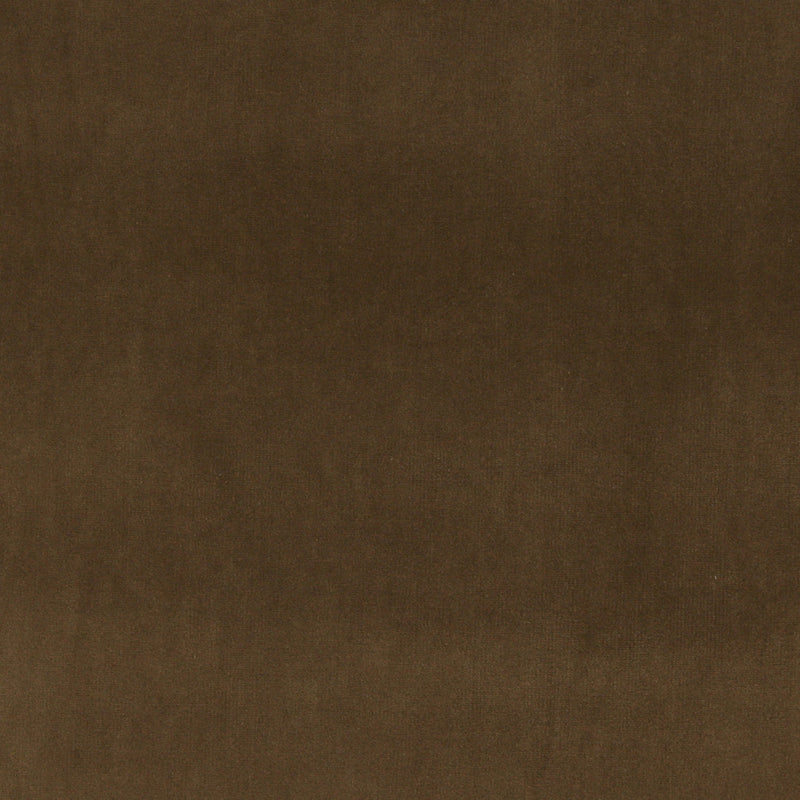 Charlotte - 10000-15 - Fabric by the Yard 10000-15