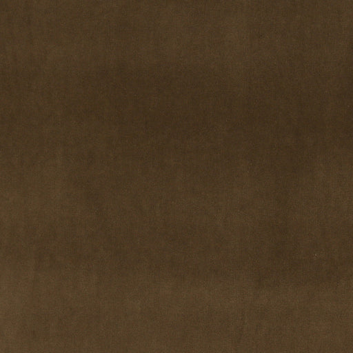 Charlotte - 10000-15 - Fabric by the Yard 10000-15