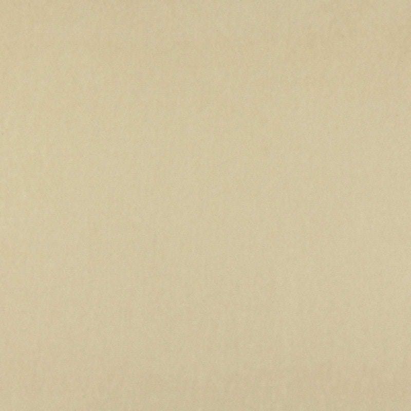 Charlotte - 10000-16 - Fabric by the Yard 10000-16