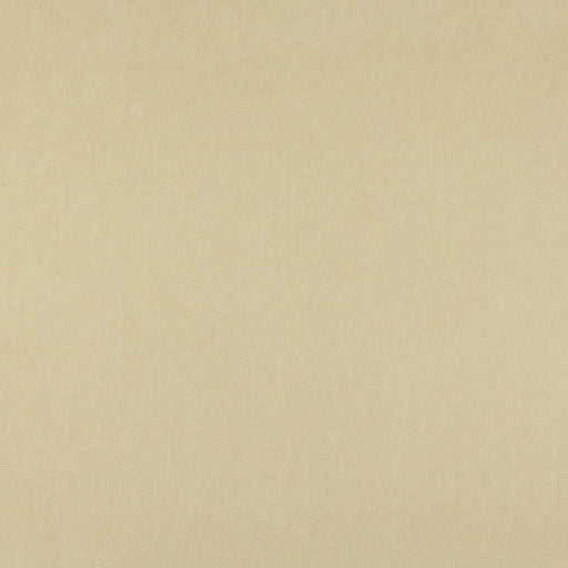 Charlotte - 10000-16 - Fabric by the Yard 10000-16