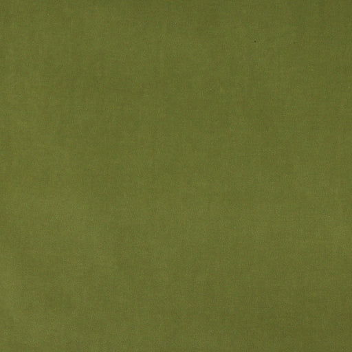 Charlotte - 10000-17 - Fabric by the Yard 10000-17
