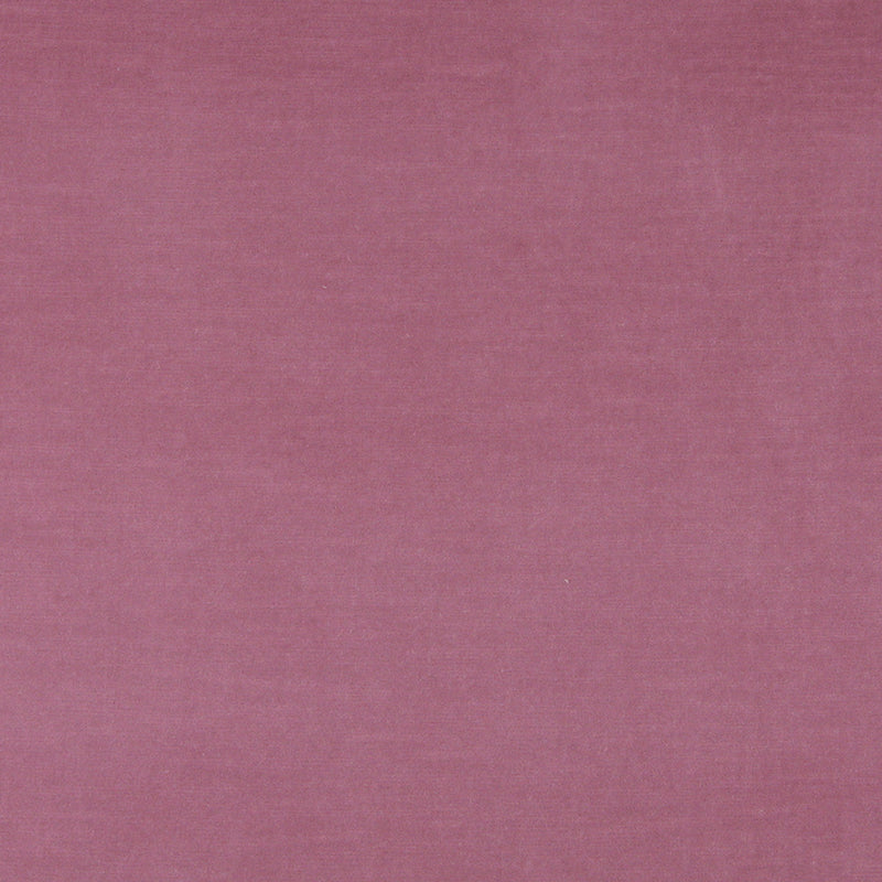 Charlotte - 10001-02 - Fabric by the Yard 10001-02