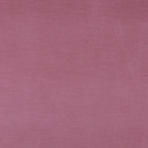 Charlotte - 10001-02 - Fabric by the Yard 10001-02