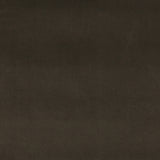 Charlotte - 10001-03 - Fabric by the Yard