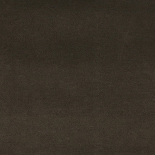 Charlotte - 10001-03 - Fabric by the Yard 10001-03