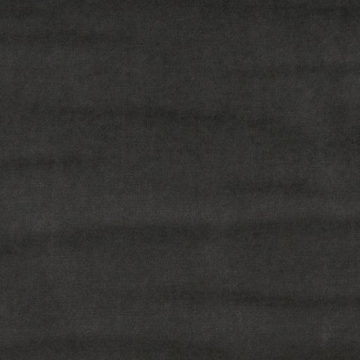 Charlotte - 10001-06 - Fabric by the Yard 10001-06