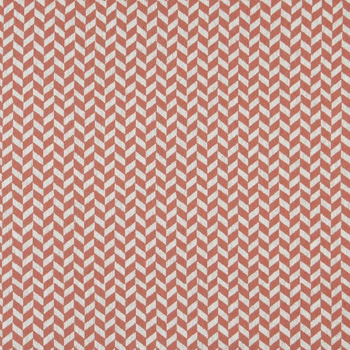 Charlotte - 10004-03 - Fabric by the Yard 10004-03