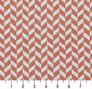 Charlotte - 10004-03 - Fabric by the Yard - 10004-03 - 10004-03_Ruler