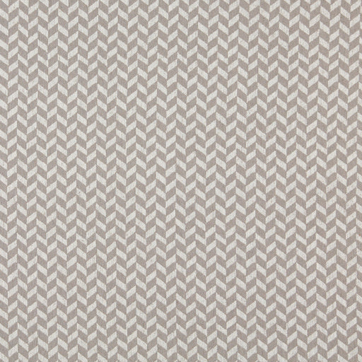 Charlotte - 10004-06 - Fabric by the Yard 10004-06
