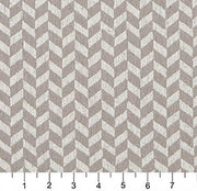 Charlotte - 10004-06 - Fabric by the Yard - 10004-06 - 10004-06_Ruler