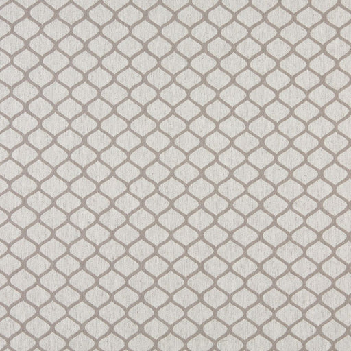 Charlotte - 10005-06 - Fabric by the Yard 10005-06