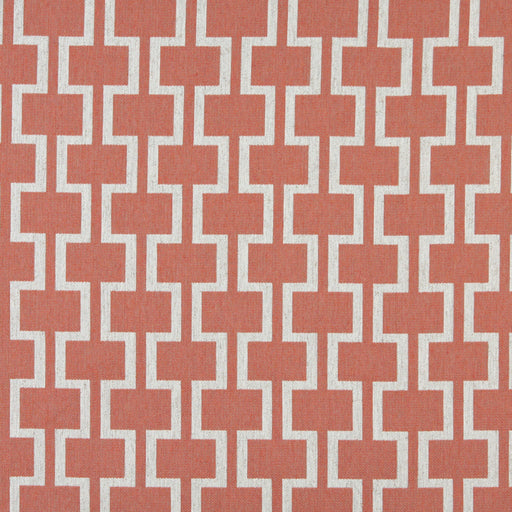 Charlotte - 10006-03 - Fabric by the Yard 10006-03
