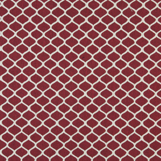 Charlotte - 10008-01 - Fabric by the Yard 10008-01