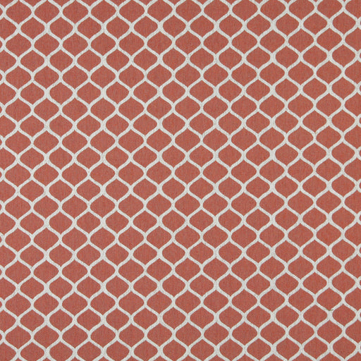 Charlotte - 10008-03 - Fabric by the Yard 10008-03