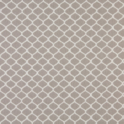 Charlotte - 10008-06 - Fabric by the Yard 10008-06