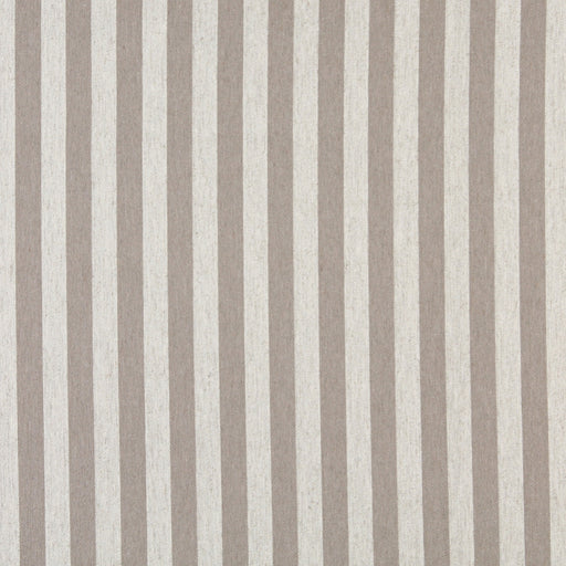 Charlotte - 10009-06 - Fabric by the Yard 10009-06