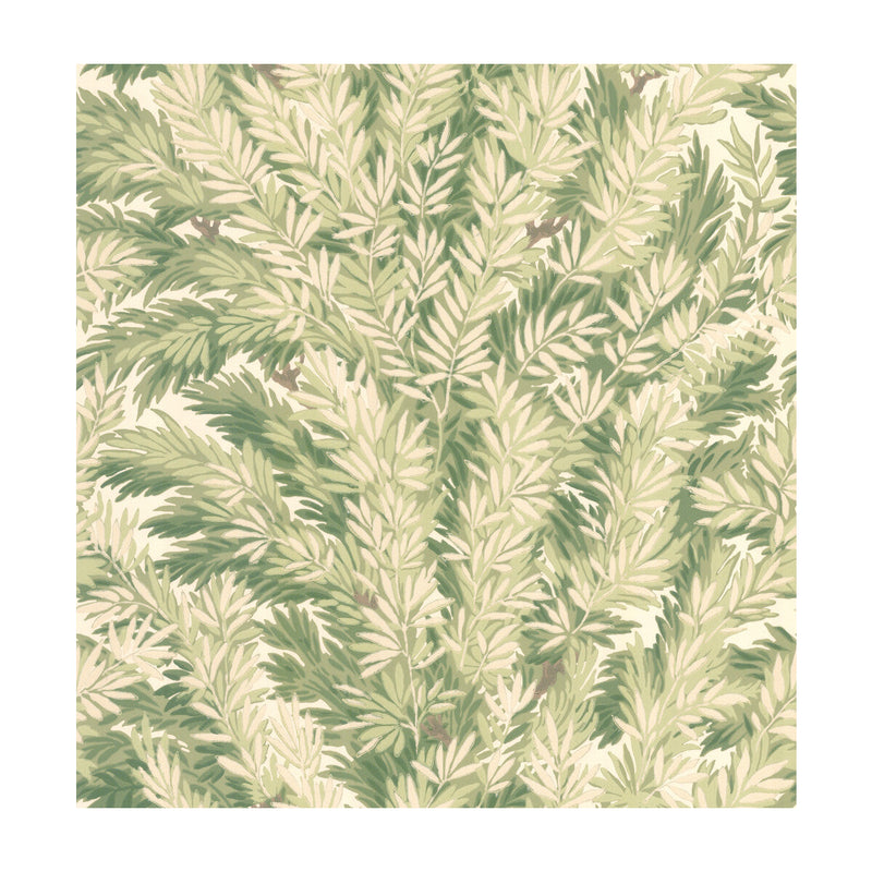 COLE & SON - FLORENCECOURT- OLIVE - Wallcovering by the Roll OLIVE