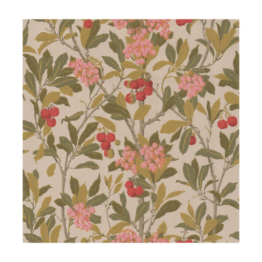 COLE & SON - STRAWBERRY TREE- PINK & LINEN - Wallcovering by the Roll PINK & LINEN