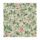 COLE & SON - STRAWBERRY TREE- PINK & DUCK EGG - Wallcovering by the Roll