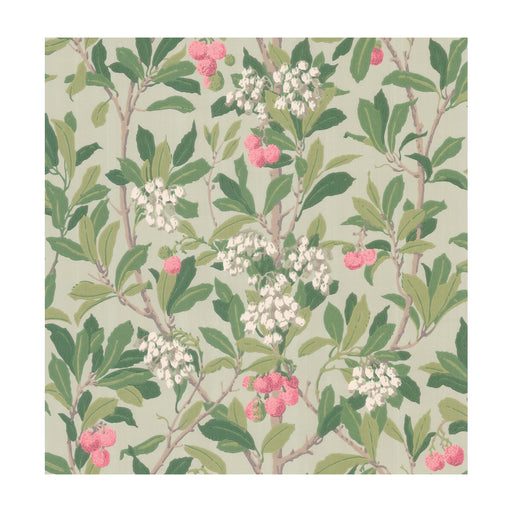 COLE & SON - STRAWBERRY TREE- PINK & DUCK EGG - Wallcovering by the Roll PINK & DUCK EGG