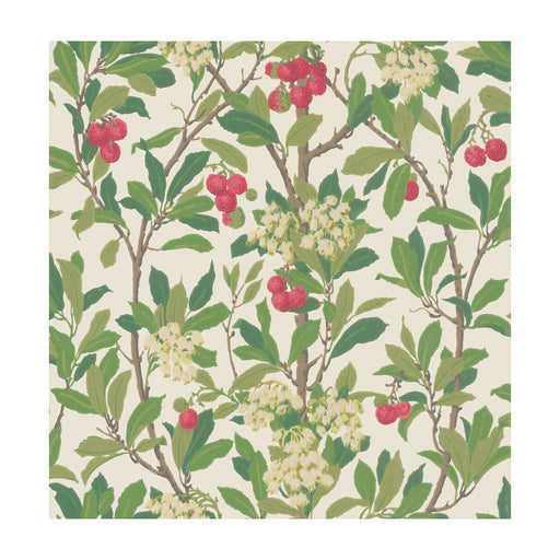 COLE & SON - STRAWBERRY TREE- SCARLET & IVORY - Wallcovering by the Roll SCARLET & IVORY