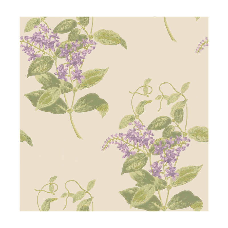 COLE & SON - MADRAS VIOLET- OLIVE & LAVENDER - Wallcovering by the Roll OLIVE & LAVENDER