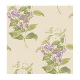 COLE & SON - MADRAS VIOLET- OLIVE & LAVENDER - Wallcovering by the Roll