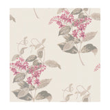COLE & SON - MADRAS VIOLET- PINK  - Wallcovering by the Roll
