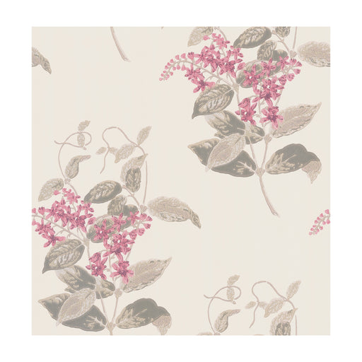 COLE & SON - MADRAS VIOLET- PINK  - Wallcovering by the Roll PINK