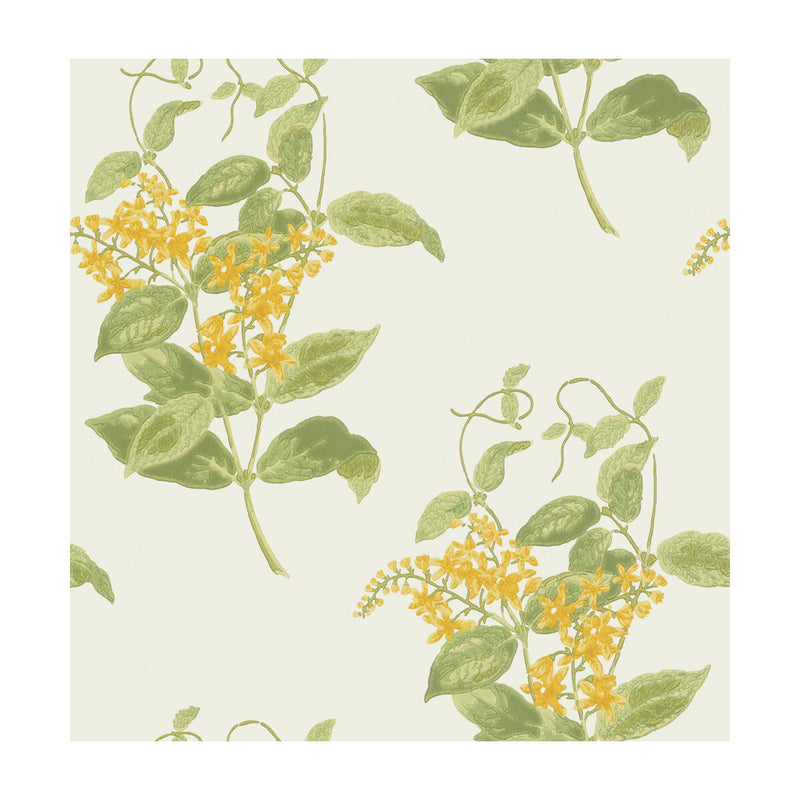 COLE & SON - MADRAS VIOLET- YELLOW - Wallcovering by the Roll YELLOW
