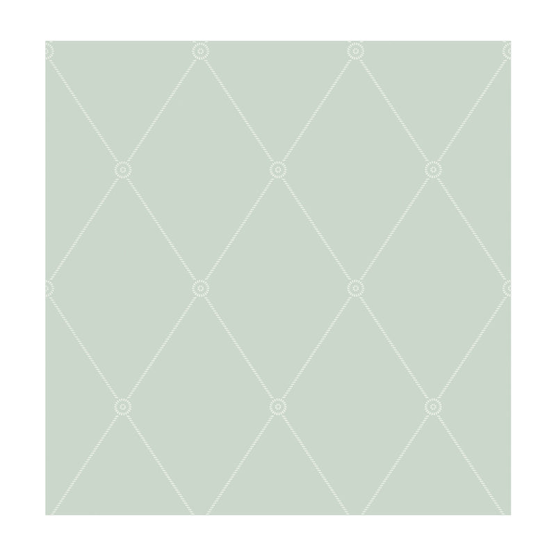 COLE & SON - LARGE GEORGIAN ROPE TRELLIS- DUCK EGG - Wallcovering by the Roll DUCK EGG