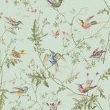 COLE & SON - HUMMINGBIRDS- BLUE MULTI-COLOUR - Wallcovering by the Roll