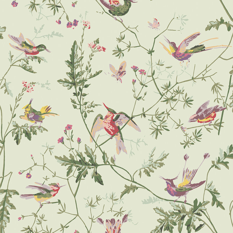 COLE & SON - HUMMINGBIRDS- GREEN MULTI-COLOUR - Wallcovering by the Roll GREEN MULTI-COLOUR