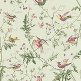 COLE & SON - HUMMINGBIRDS- GREEN MULTI-COLOUR - Wallcovering by the Roll