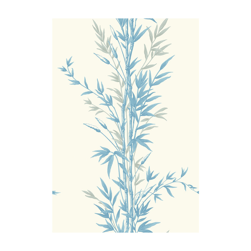 COLE & SON - BAMBOO- BLUE ON IVORY - Wallcovering by the Roll BLUE ON IVORY