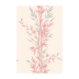 COLE & SON - BAMBOO- PINK - Wallcovering by the Roll