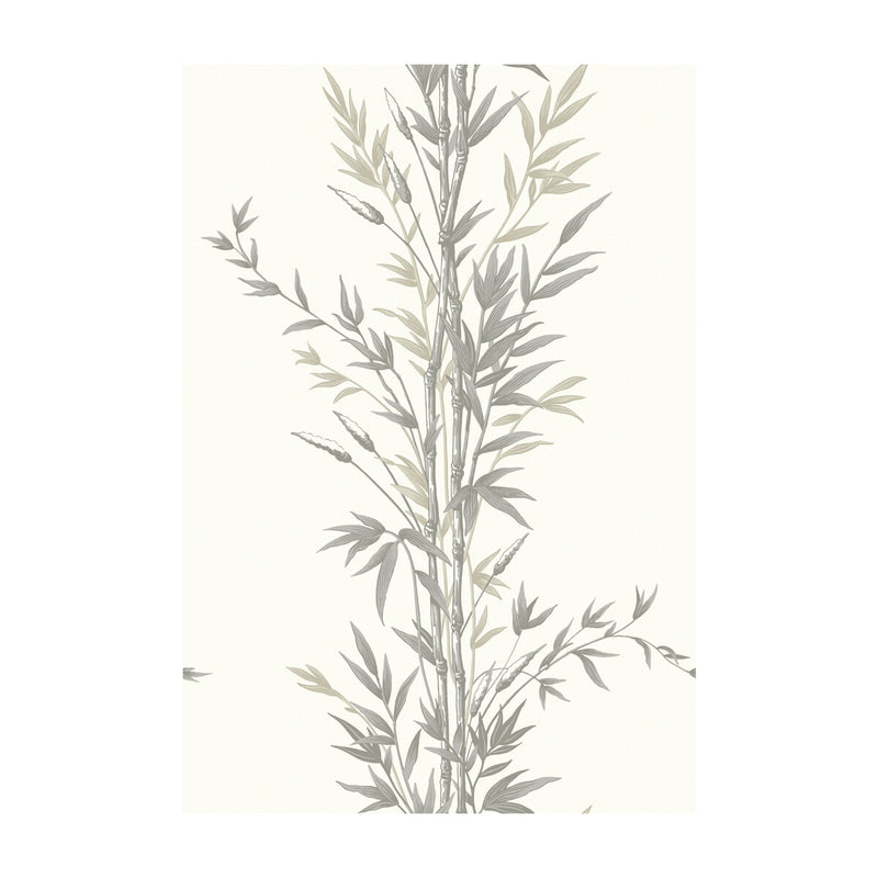 COLE & SON - BAMBOO- CHARCOAL - Wallcovering by the Roll CHARCOAL