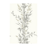 COLE & SON - BAMBOO- CHARCOAL - Wallcovering by the Roll