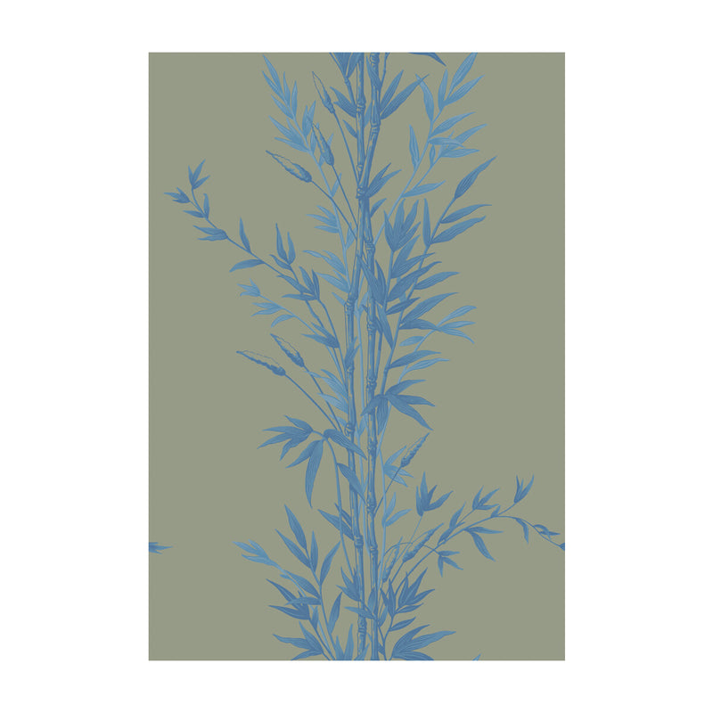 COLE & SON - BAMBOO- BLUE ON KHAKI - Wallcovering by the Roll BLUE ON KHAKI
