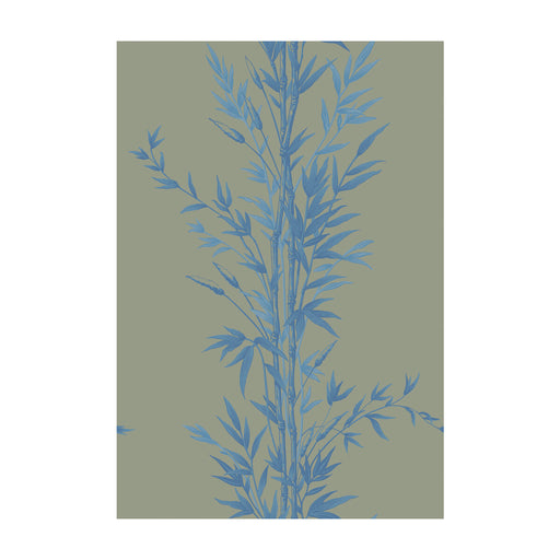COLE & SON - BAMBOO- BLUE ON KHAKI - Wallcovering by the Roll BLUE ON KHAKI