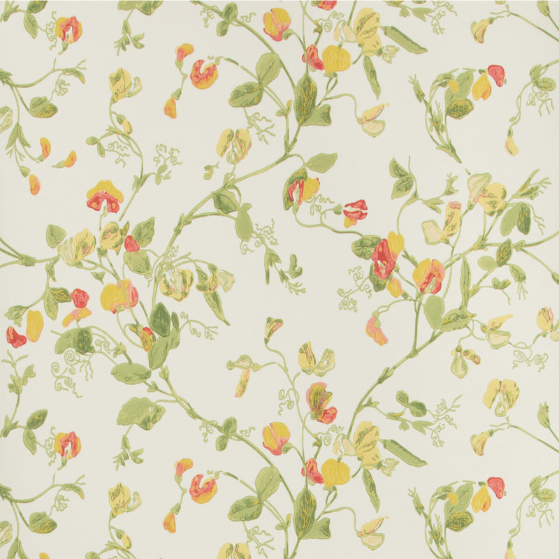 COLE & SON - SWEET PEA- PINK & YELLOW - Wallcovering by the Roll PINK & YELLOW