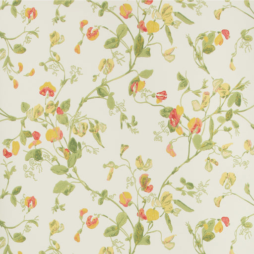 COLE & SON - SWEET PEA- PINK & YELLOW - Wallcovering by the Roll PINK & YELLOW