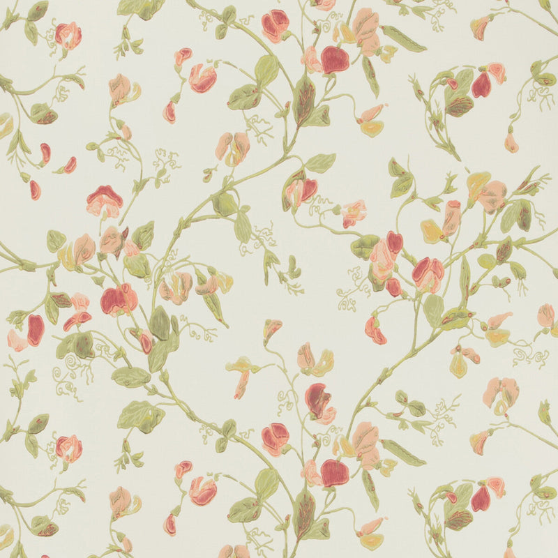 COLE & SON - SWEET PEA- PINK - Wallcovering by the Roll PINK