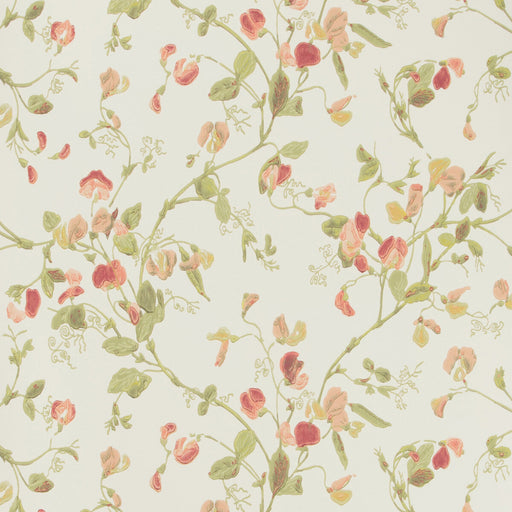 COLE & SON - SWEET PEA- PINK - Wallcovering by the Roll PINK